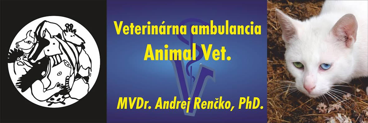 veterinarcadca.sk