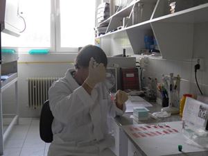 Obrázok pre výrobcu Hematologické školenie, Dolný Kubín.